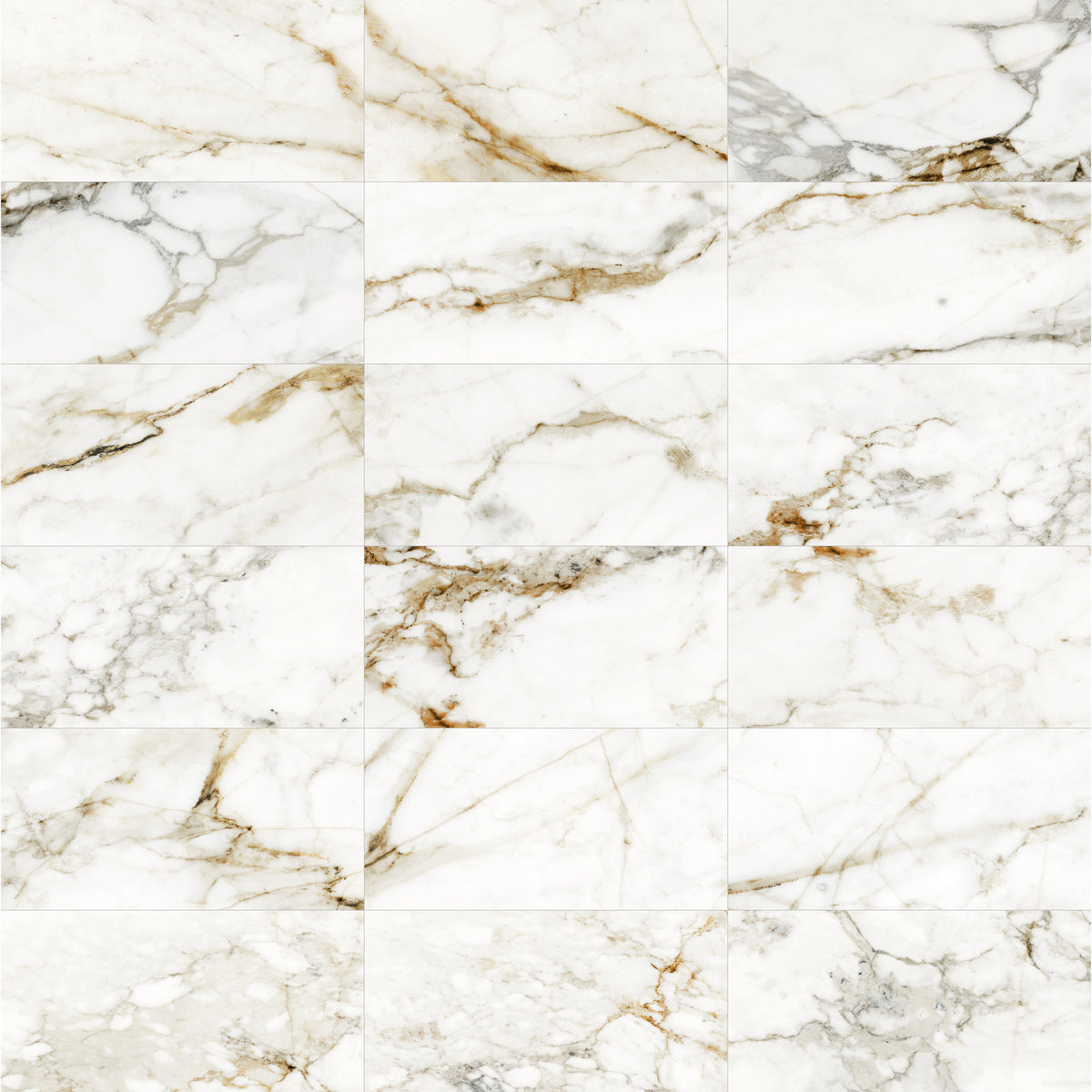 Face view for 12x24 / White / Matte