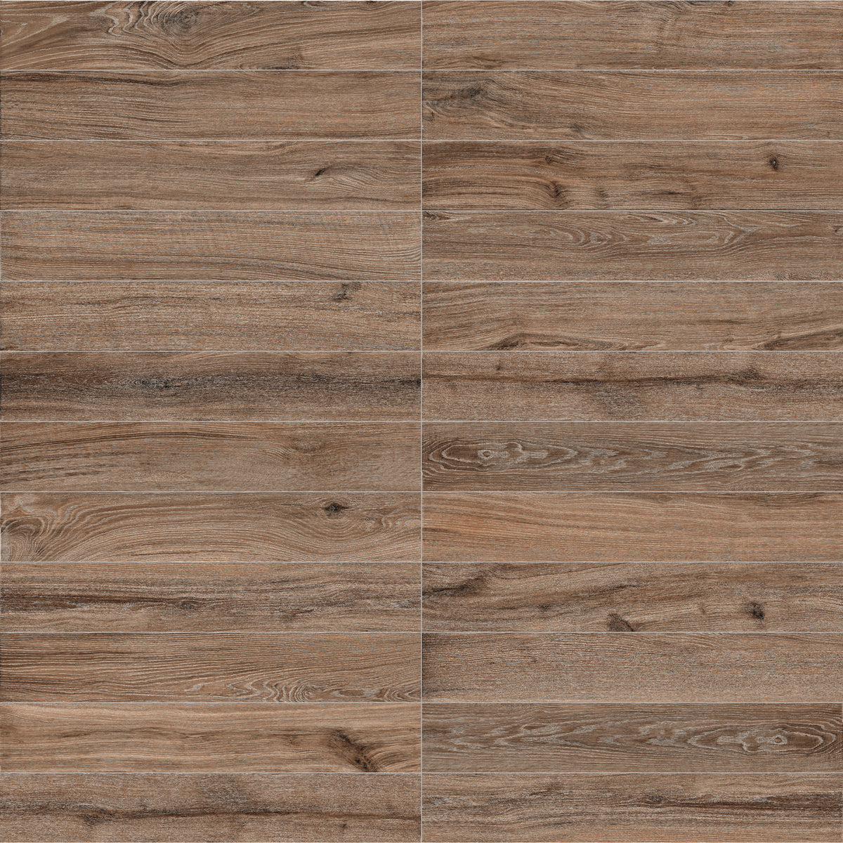 Face view for 8x48 / Nut