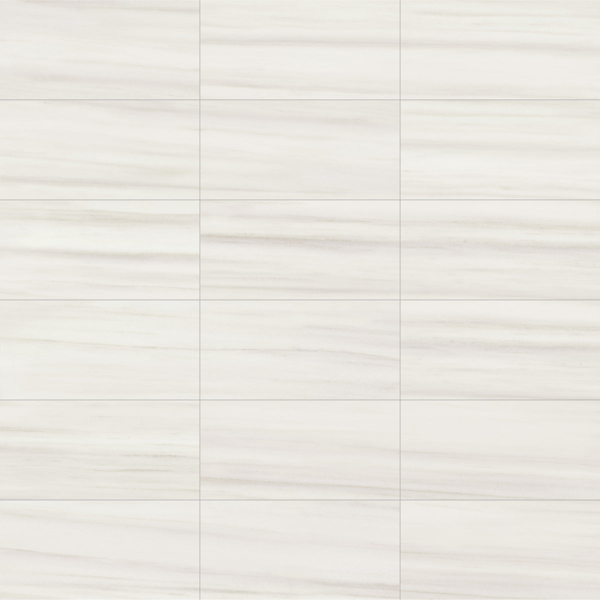 Face view for 12x24 / Ivory / Matte