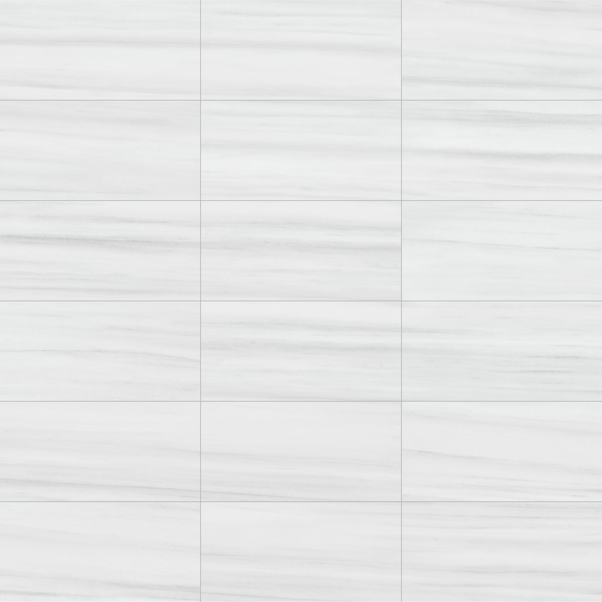 Face view for 12x24 / White / Matte