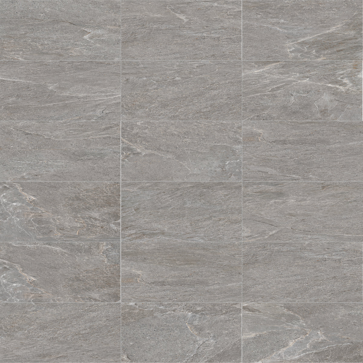 Face view for 12x24 / Ash