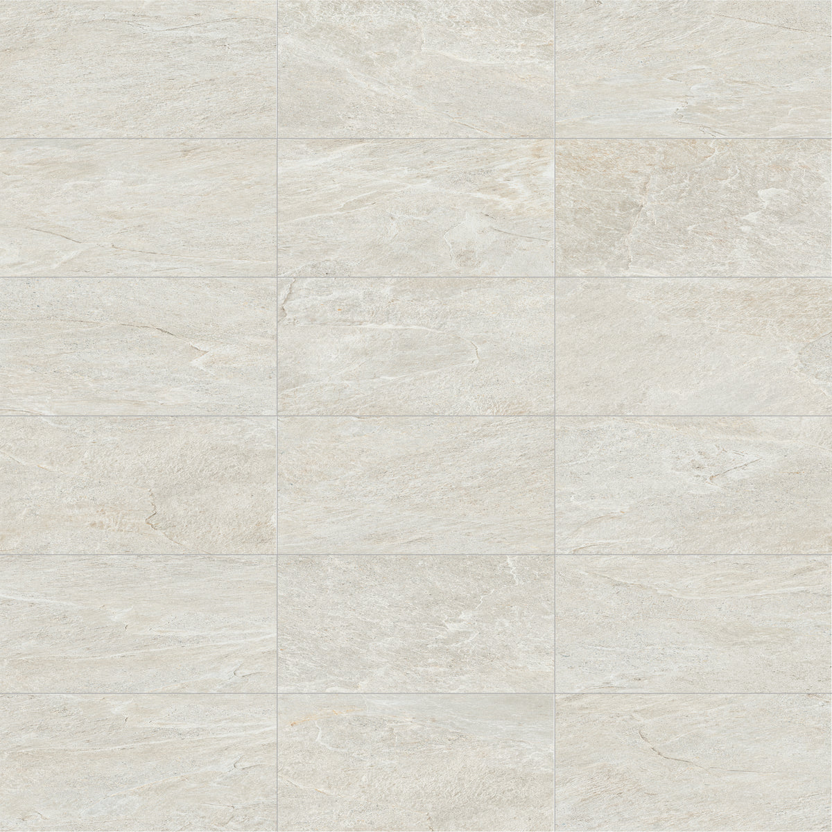 Face view for 12x24 / Dove