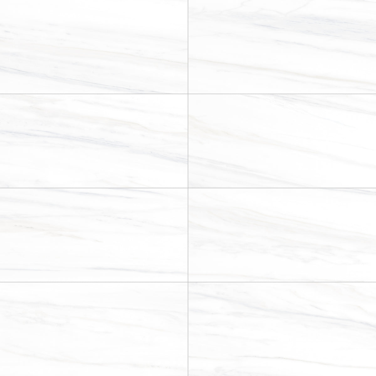 Face view for 24x48 / Matte