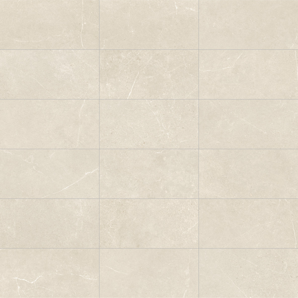 Face view for 12x24 / Ivory / Matte