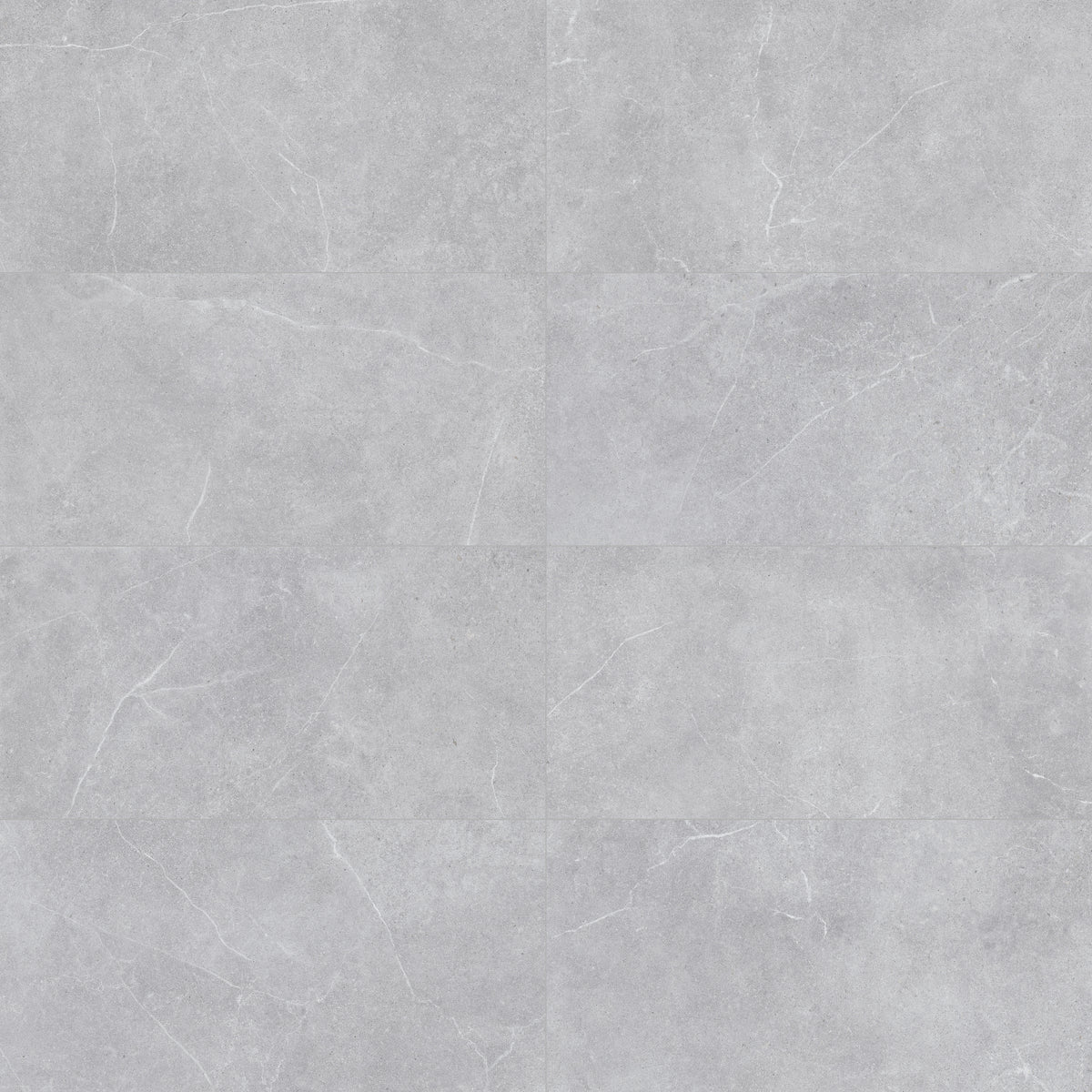 Face view for 24x48 / Silver / Matte