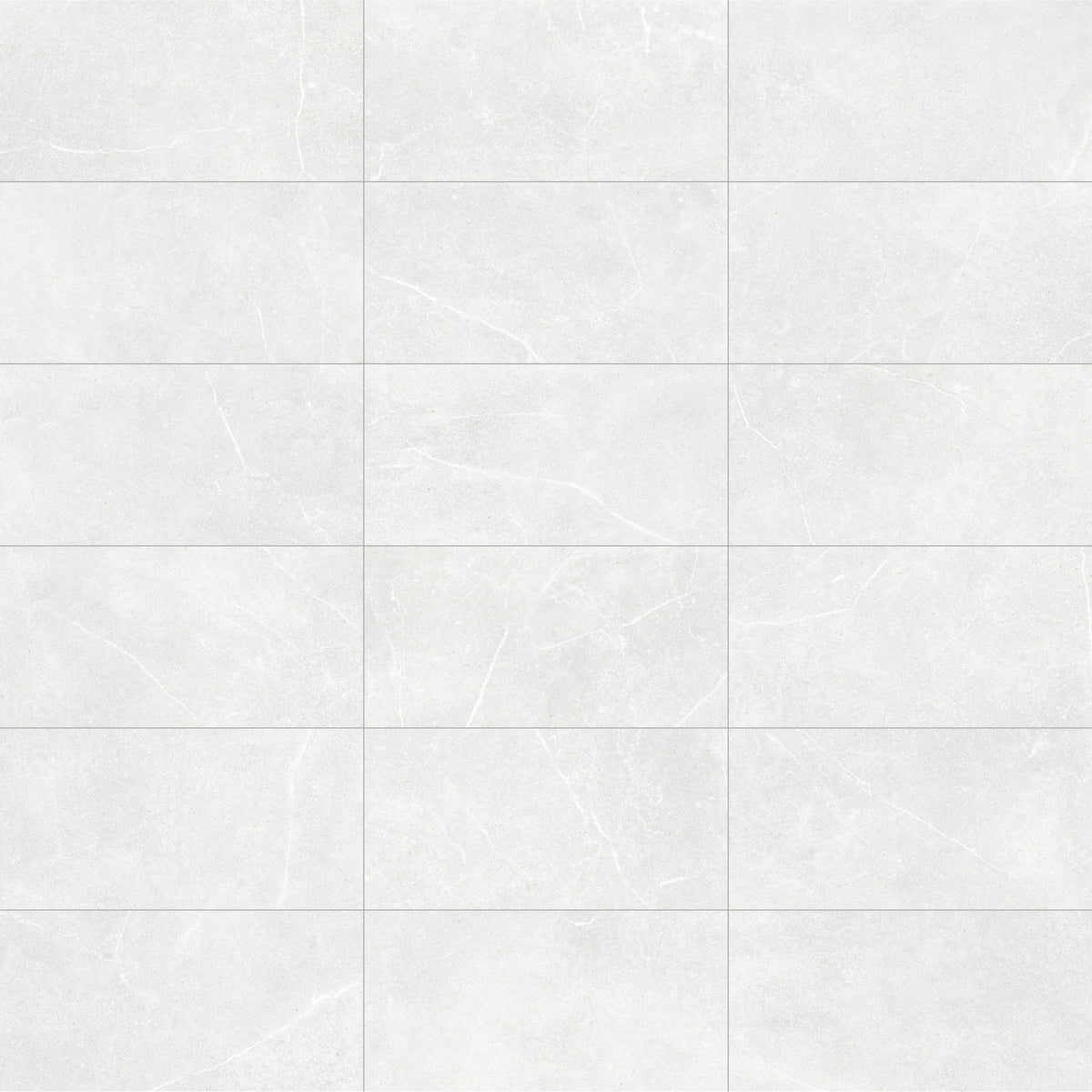 Face view for 12x24 / White / Matte