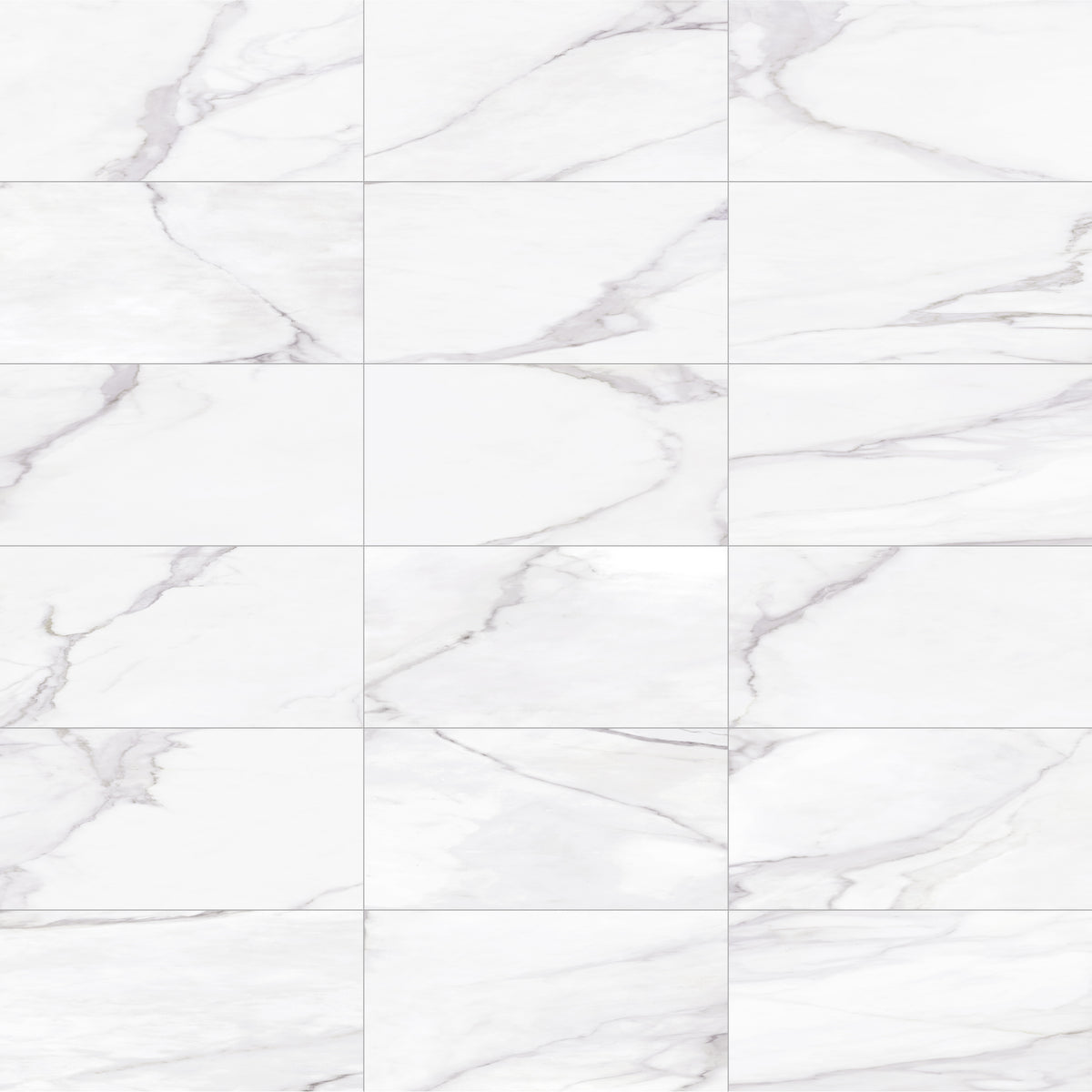 Face view for 12x24 / Silver / Matte