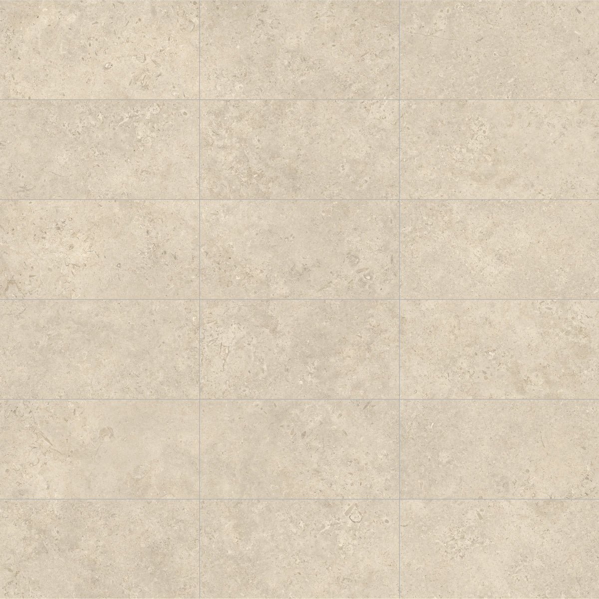 Face view for 12x24 / Natural / Matte