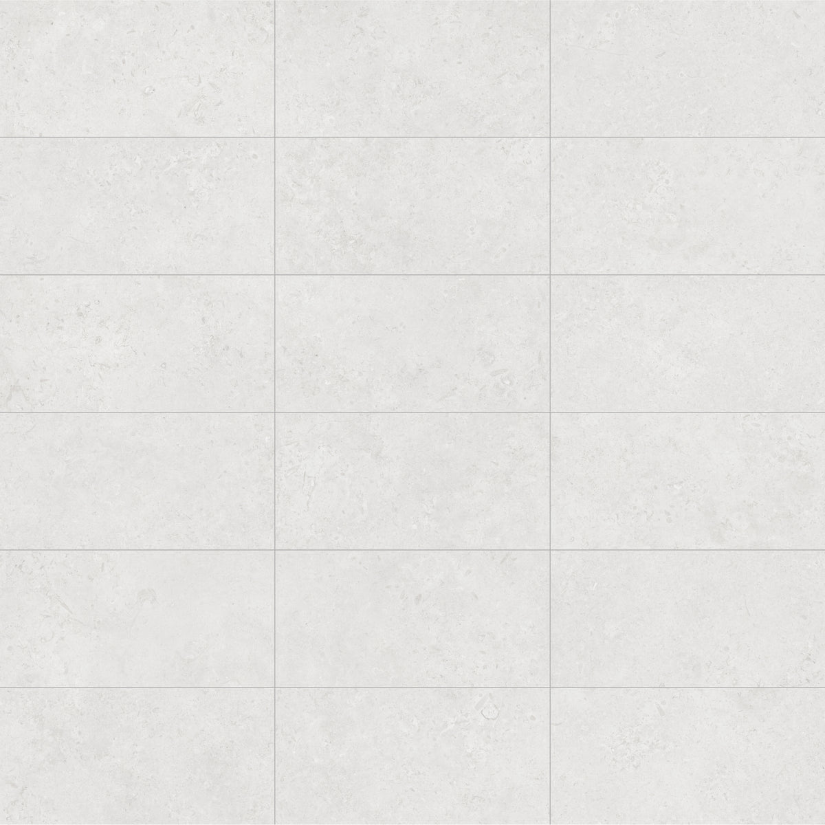 Face view for 12x24 / White / Matte