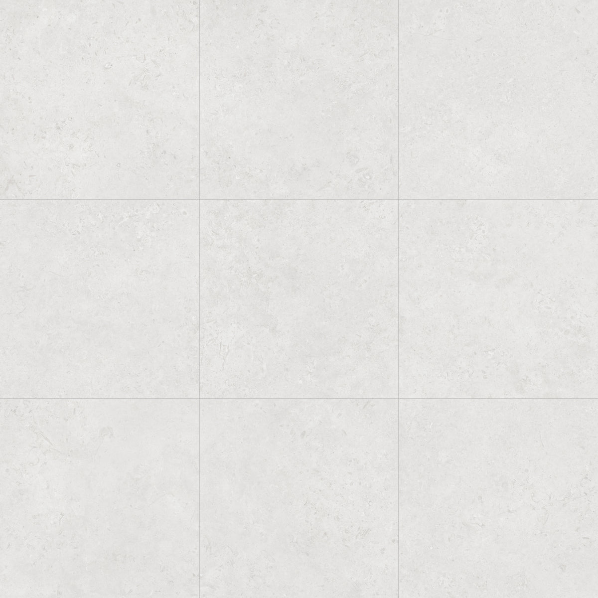 Face view for 24x24 / White / Matte