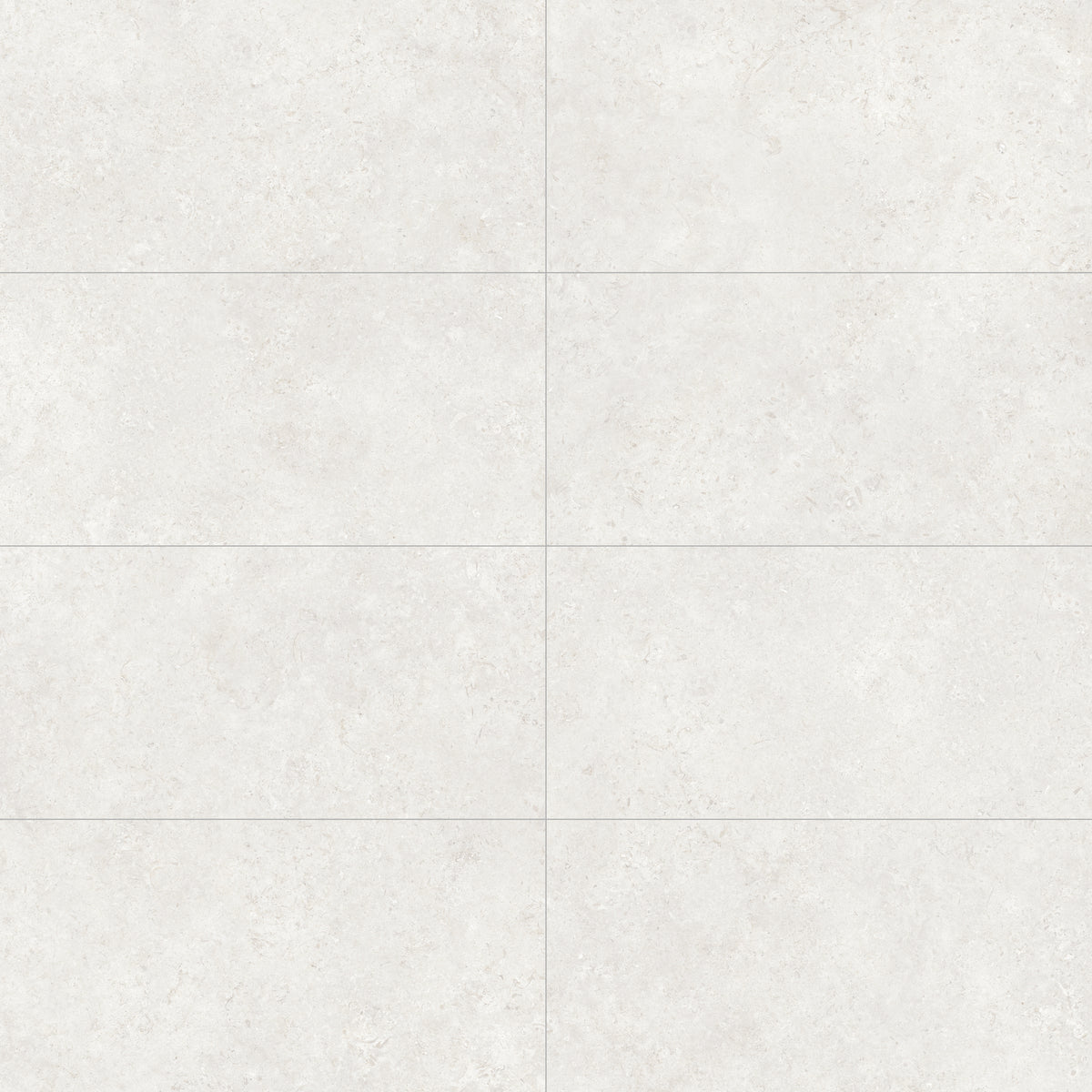 Face view for 24x48 / White / Matte