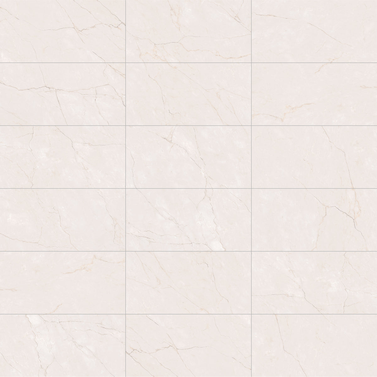 Face view for 12x24 / Beige / Matte