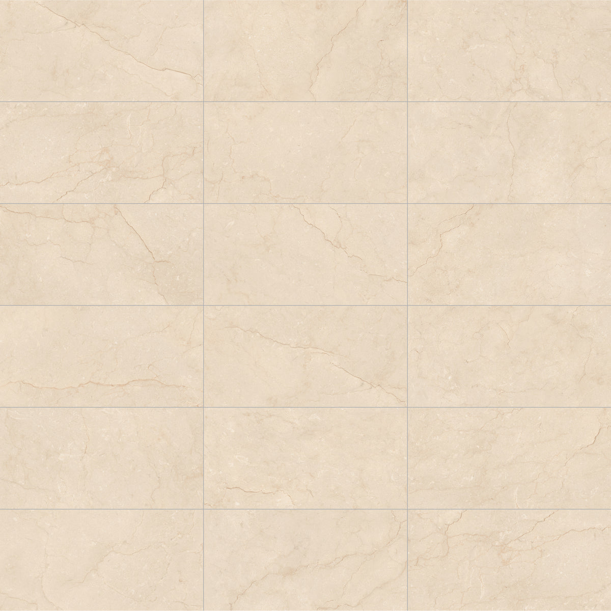 Face view for Marfil / 12x24 / Matte