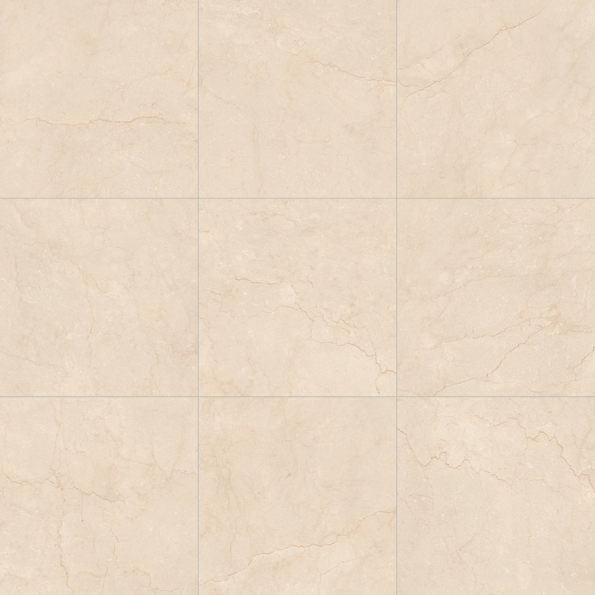 Face view for Marfil / 24x24 / Matte