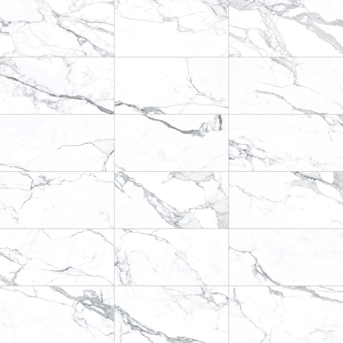 Face view for 12x24 / Matte