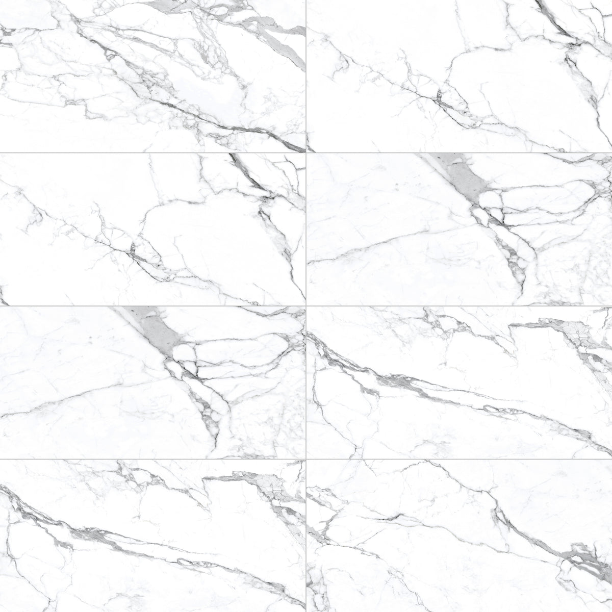 Face view for 24x48 / Matte